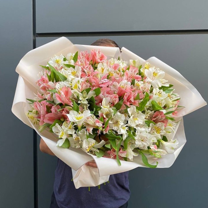 39 альстромерий в Новокузнецке