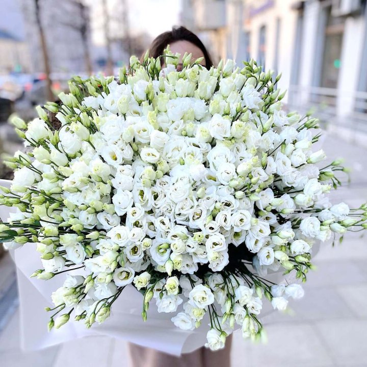 101 белая эустома в Новокузнецке