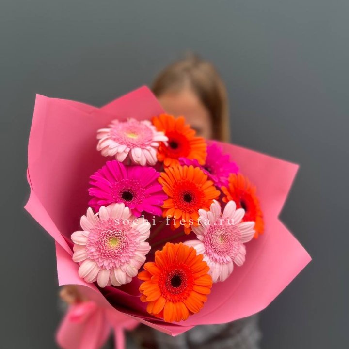 Краски в Новокузнецке