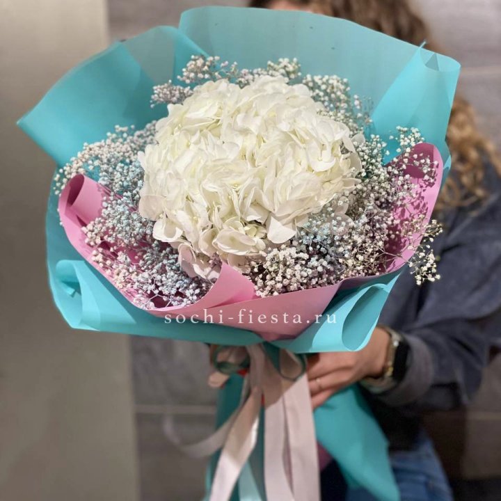 Гортензия "Райдов" в Новокузнецке