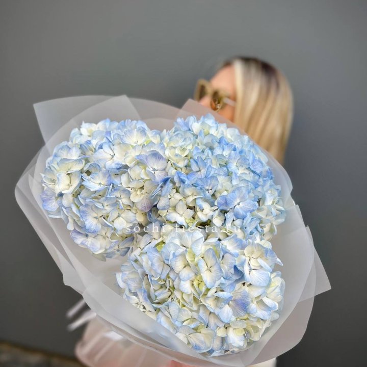 Букет из 3 голубых гортензий  в Новокузнецке