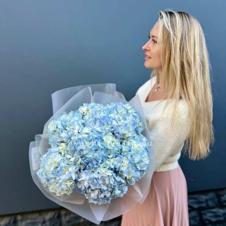 7 голубых гортензий в Новокузнецке