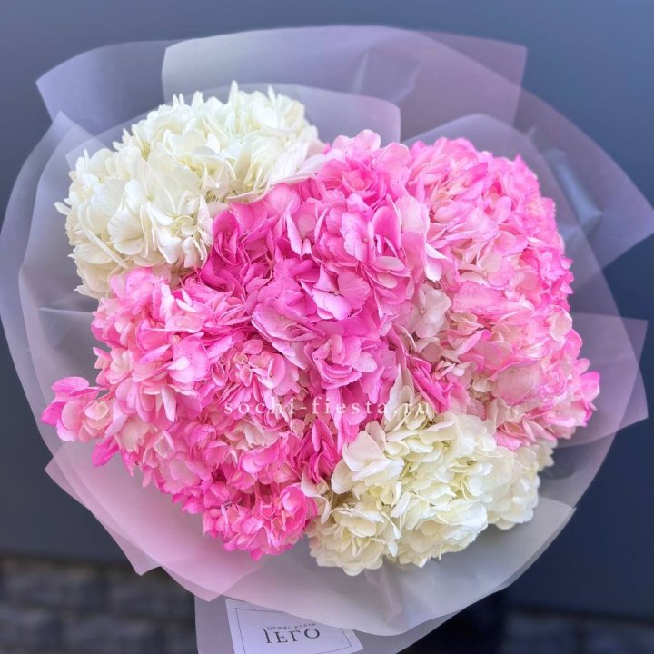 5 бело-розовых гортензий в Новокузнецке