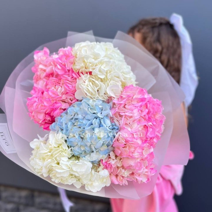 7 гортензий микс в Новокузнецке