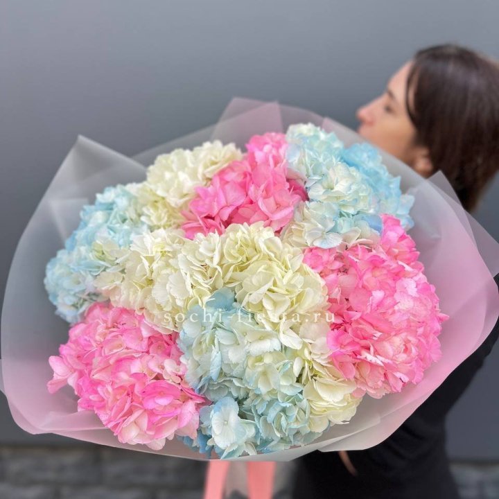 9 гортензий микс в Новокузнецке
