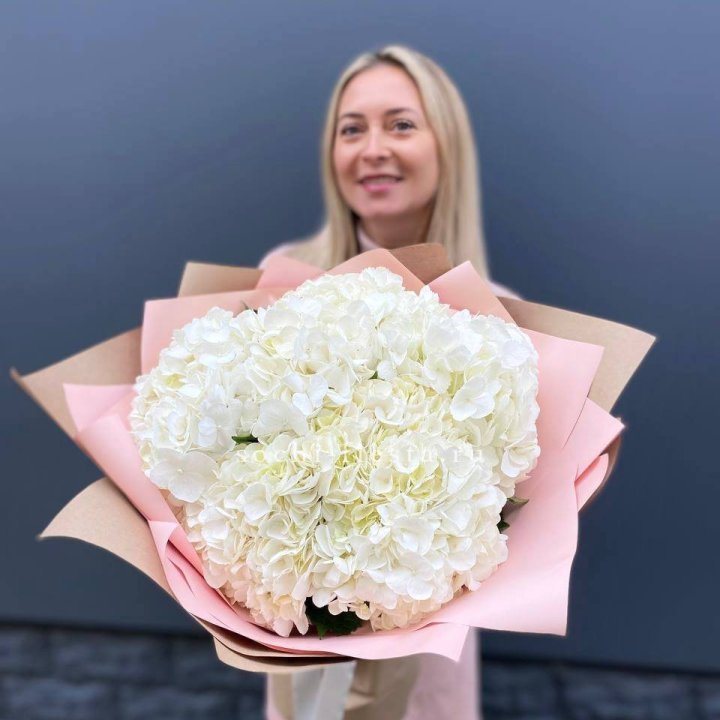 Гортензия белая в Новокузнецке