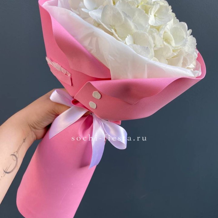 Гортензия в розовом пиджаке в Новокузнецке