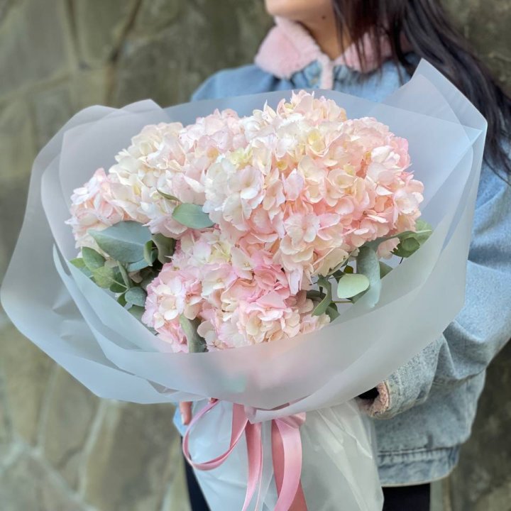 5 розовых гортензий в Новокузнецке