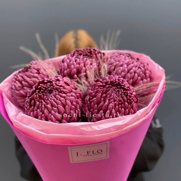 Хризантемы  Бигуди с стифой в Новокузнецке