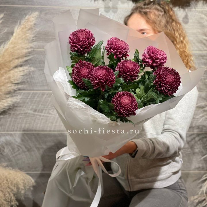 Хризантемы Бигуди в Новокузнецке