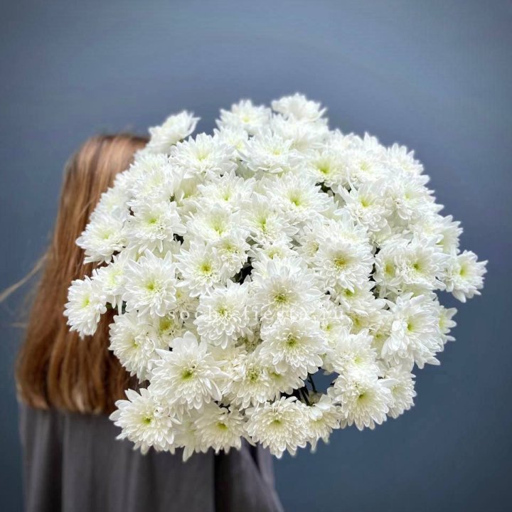 Охапка Хризантемы кустовой в Новокузнецке