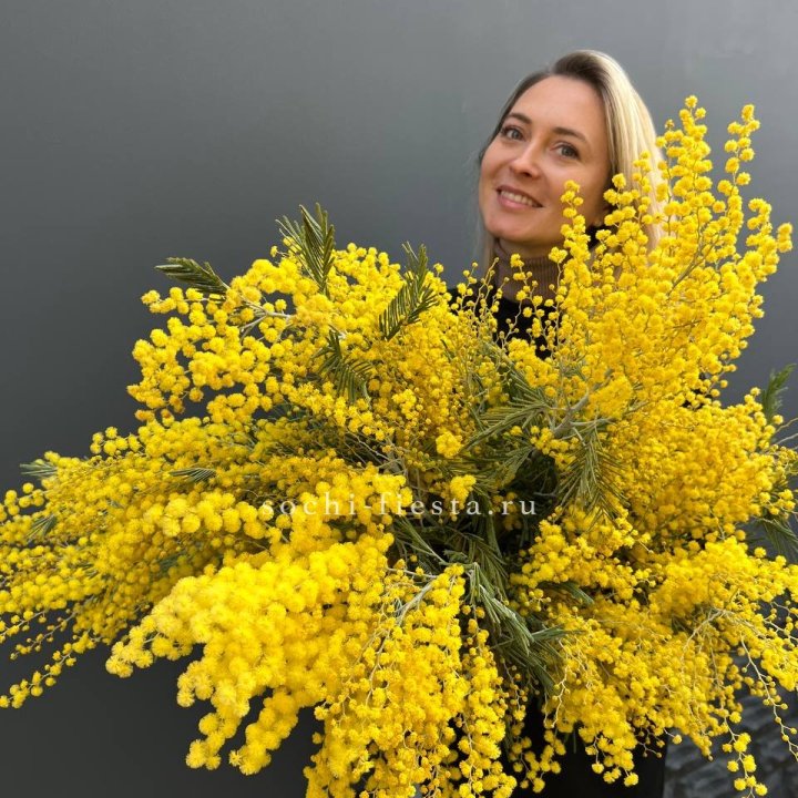 Охапка мимозы №2 в Новокузнецке