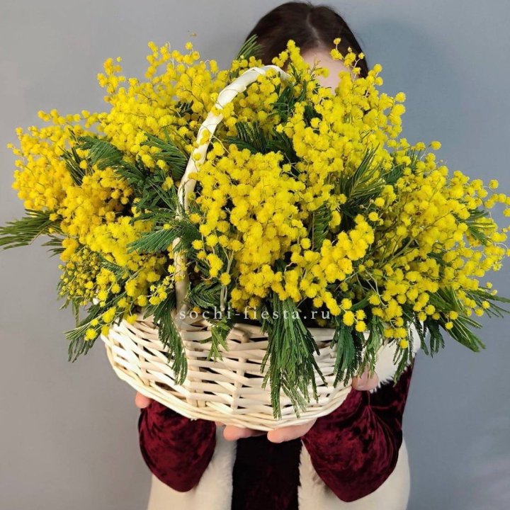 Корзина ароматной мимозы в Новокузнецке