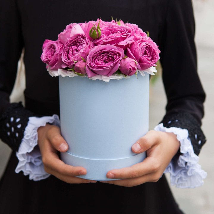 Бокс мини мисти в Новокузнецке