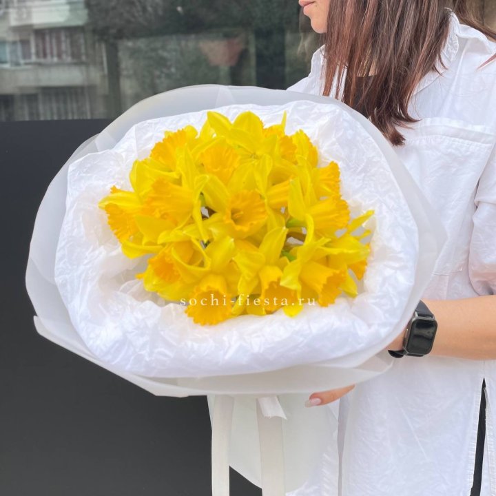 Нарциссы 25 шт в Новокузнецке