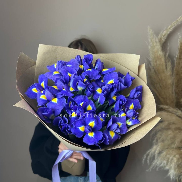 Ирисы в Новокузнецке