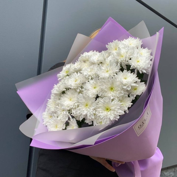  7 хризантем  в Новокузнецке