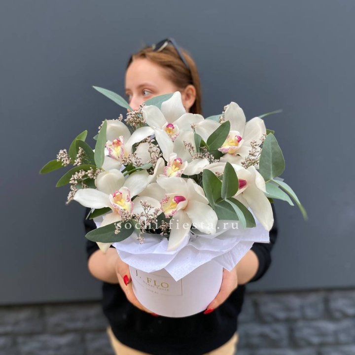 7 орхидей в боксе в Новокузнецке