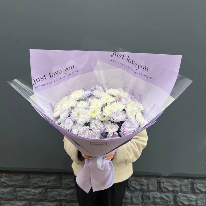 9 воздушных хризантем в Новокузнецке