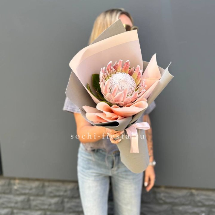 Протея мини  в Новокузнецке