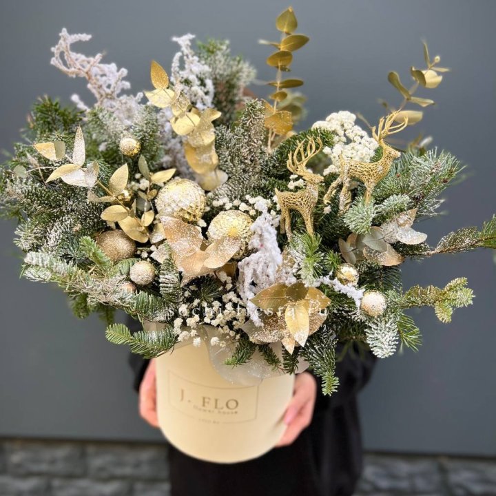 Золотой бокс с нобилисом в Новокузнецке