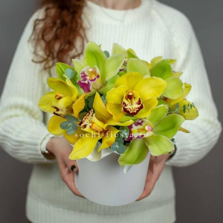 Бокс с орхидей №1 в Новокузнецке