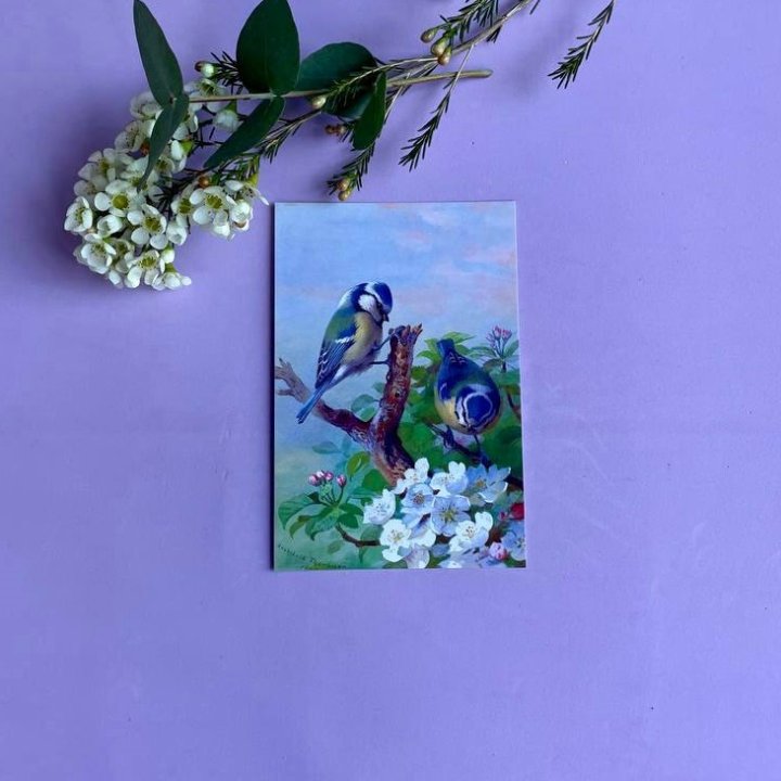 Открытка к букету "Птицы" в Новокузнецке