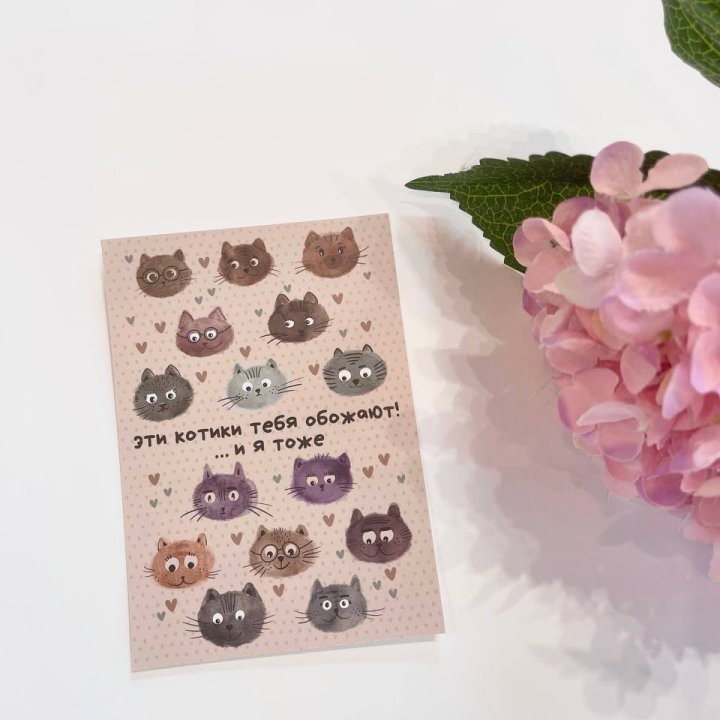 Открытка к букету "Котики" в Новокузнецке