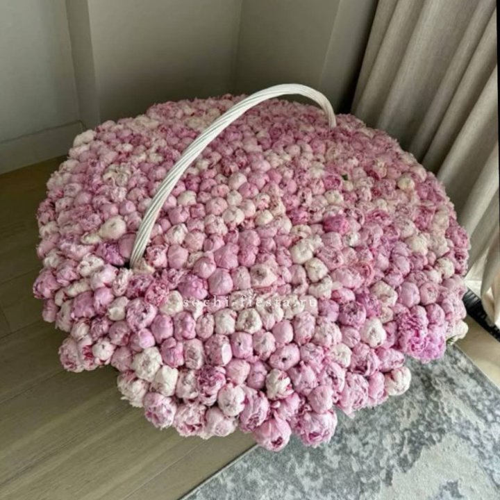 Корзина 555 пионов в Новокузнецке