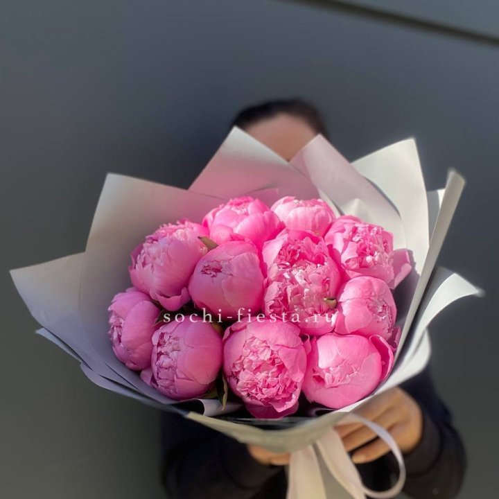 Пионы Алекс флеминг в Новокузнецке