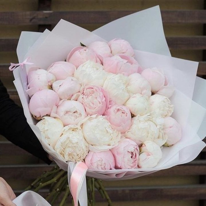 29 пионов в Новокузнецке