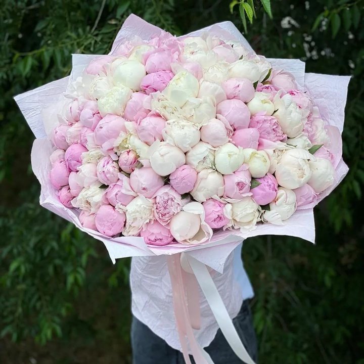 101 пион в Новокузнецке