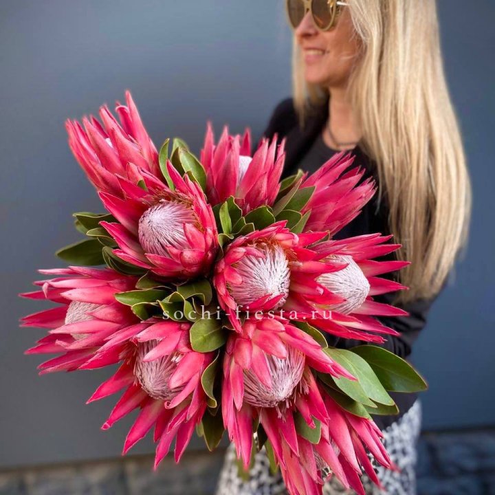 Протея штучно в Новокузнецке