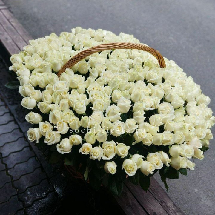 303 розы в корзине в Новокузнецке