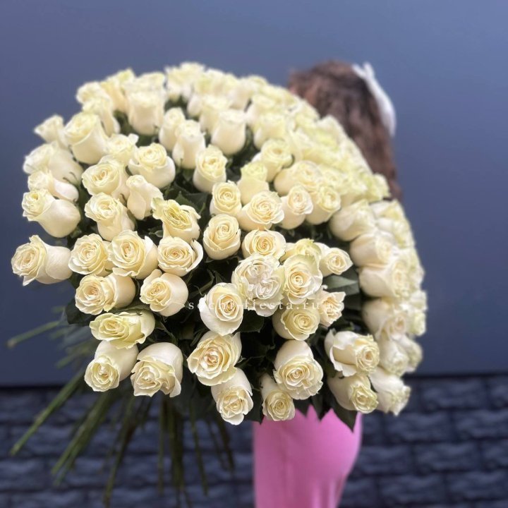 101 белая высокая импортная роза под ленту в Новокузнецке