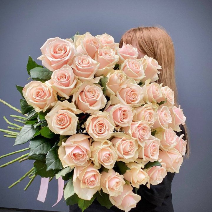 35 кремовых высоких роз в Новокузнецке