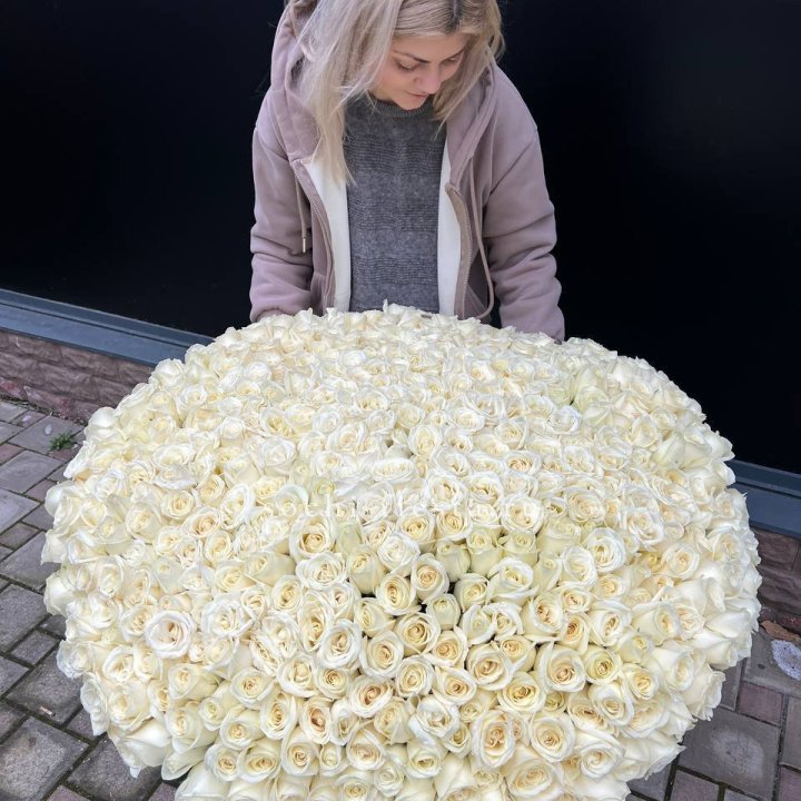 501 белая роза в корзине в Новокузнецке