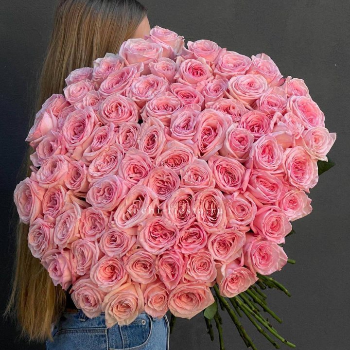 75 роз Охара в Новокузнецке