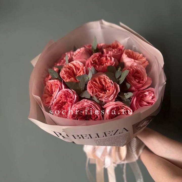 15 Пинк экспрешен в Новокузнецке