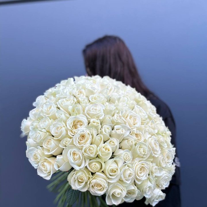 Охапка из 101 белой розы  в Новокузнецке