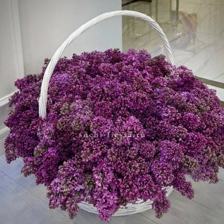 Корзина сирени в Новокузнецке