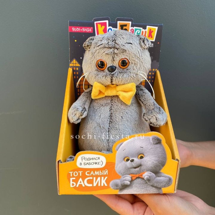 Кот Басик с бабочкой в Новокузнецке