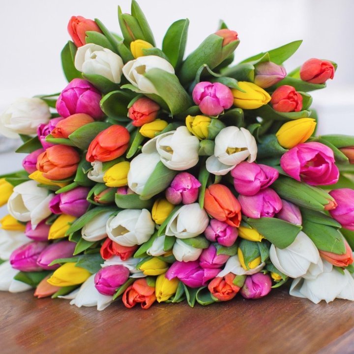 79 тюльпанов "Рандом" в Новокузнецке