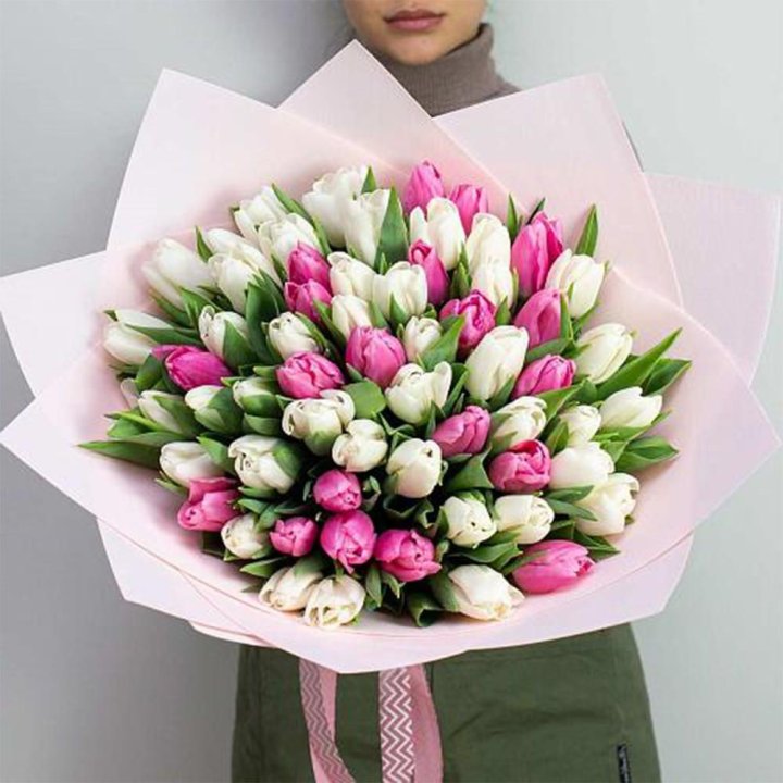 61 бело-розовый тюльпан в Новокузнецке