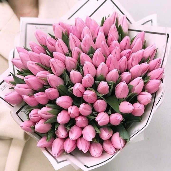 101 розовый тюльпан в белом в Новокузнецке