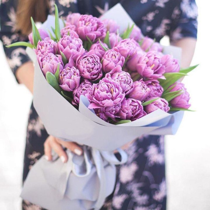 Тюльпаны "Пионс" в Новокузнецке