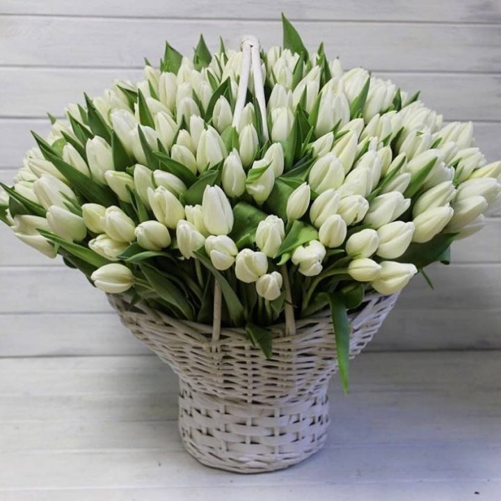 Корзина из 151 тюльпана в Новокузнецке