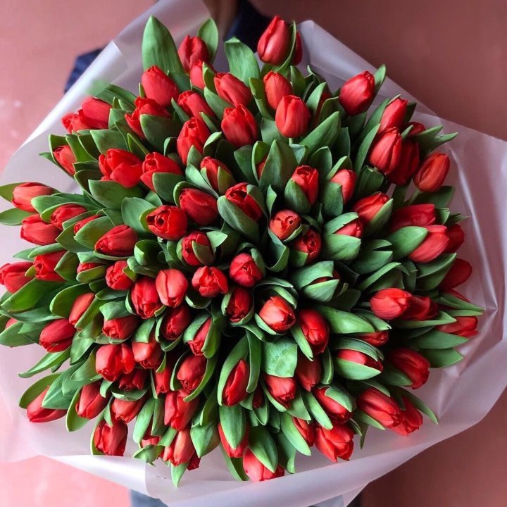 101 красный тюльпан в Новокузнецке